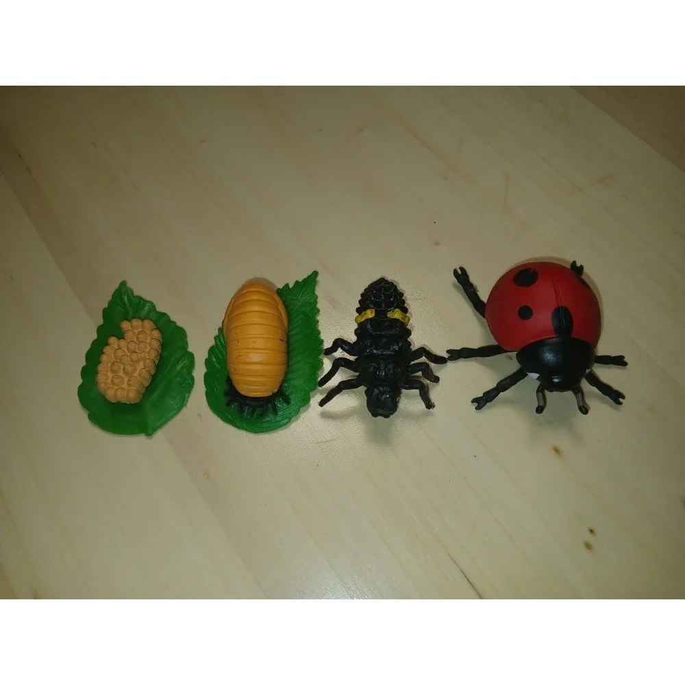 Life Cycle Of A Ladybug Figures Safari Ltd NEW Toys Collectibles Kids Education